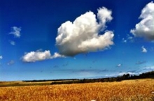 Sardegna